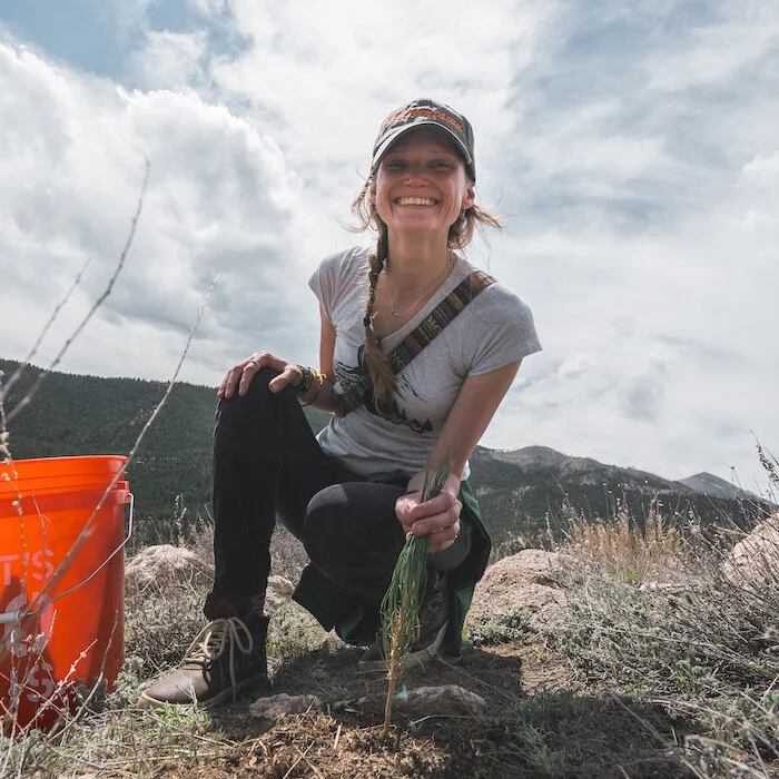 (Highlights) DIANA CHAPLIN