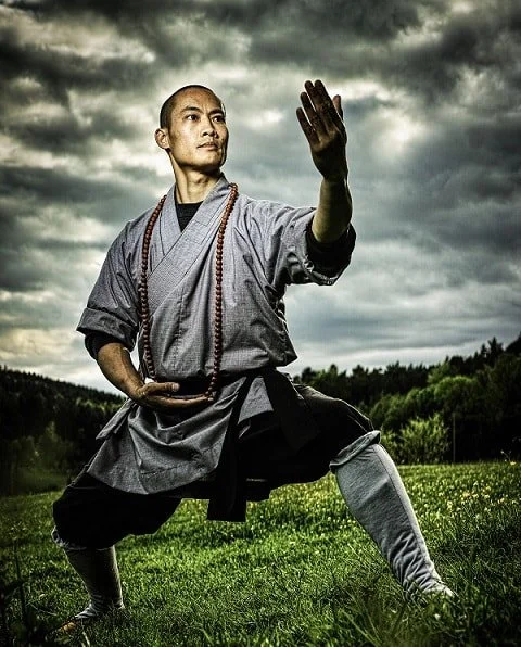 MASTER SHI HENG YI