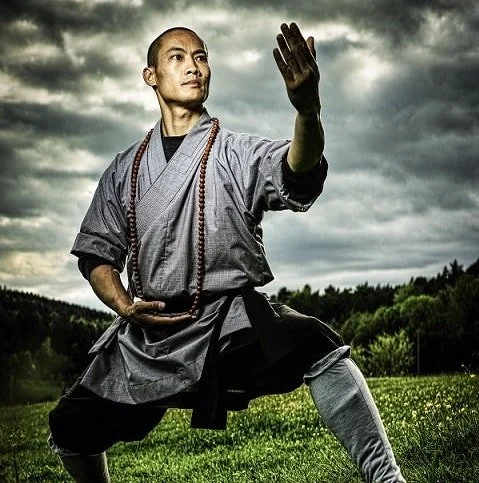MASTER SHI HENG YI
