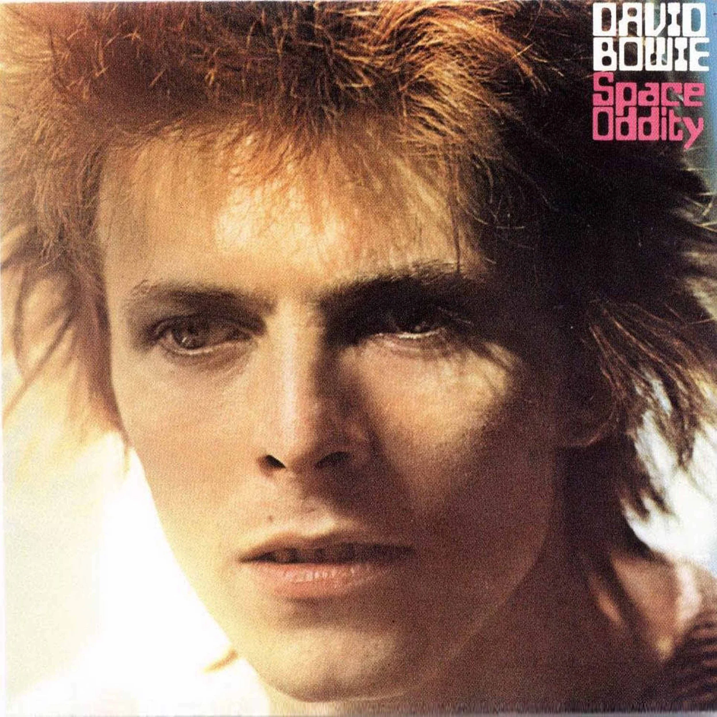 Highlights - NICHOLAS ROYLE - Author of  "David Bowie, Enid Blyton and the Sun Machine"