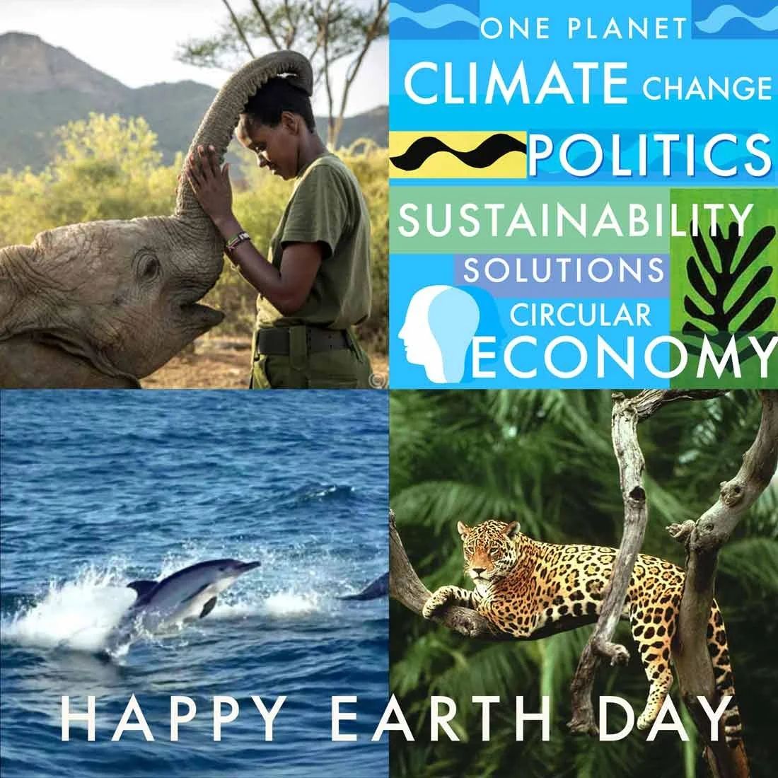 Special Earth Day Stories