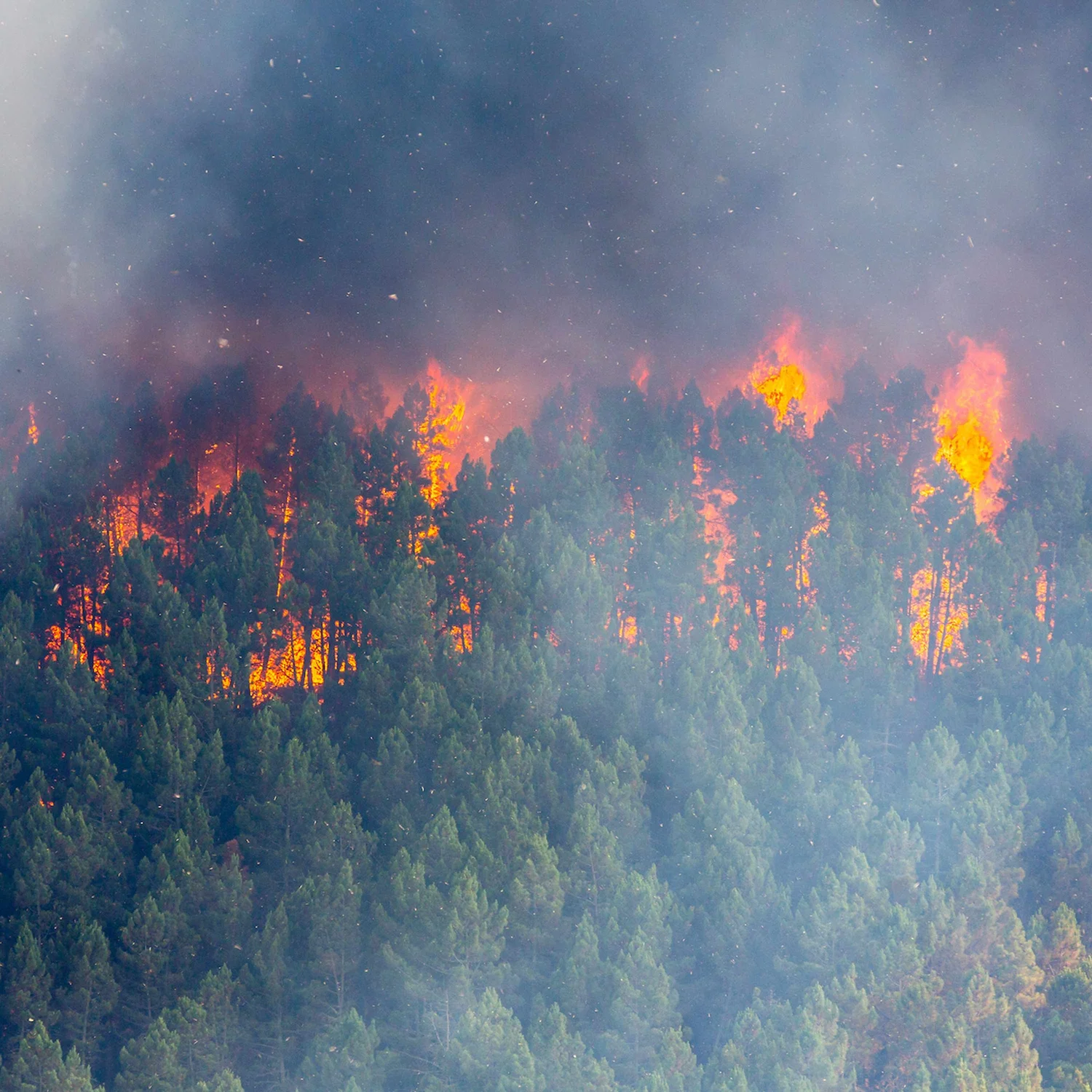 Unmasking Fossil Fuel Lobbyists who Play for Both Sides of the Climate Crisis with JAMES BROWNING - Highlights