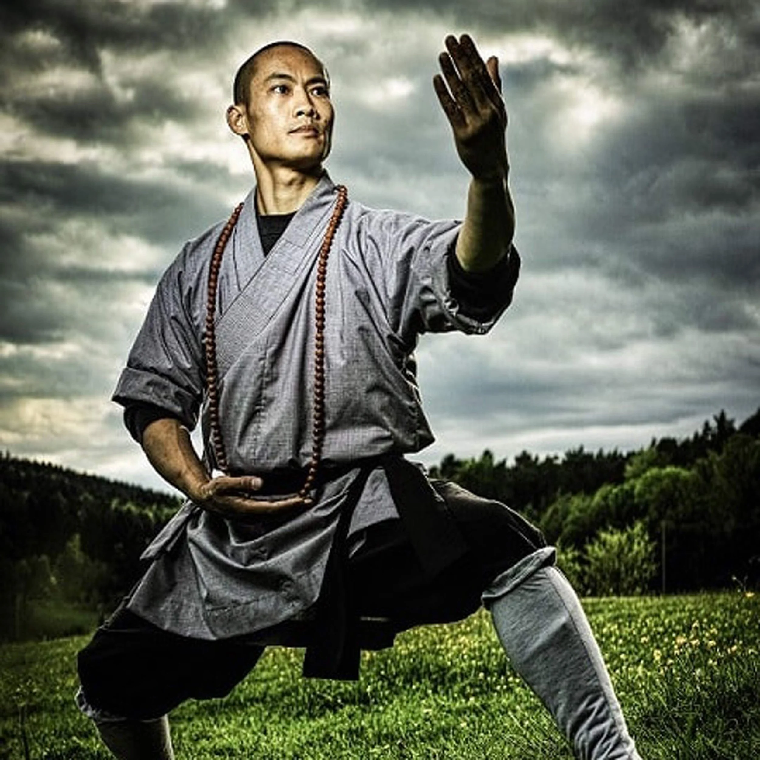 MASTER SHI HENG YI: 少林寺第35代宗师 - 校长 Shaolin Temple Europe