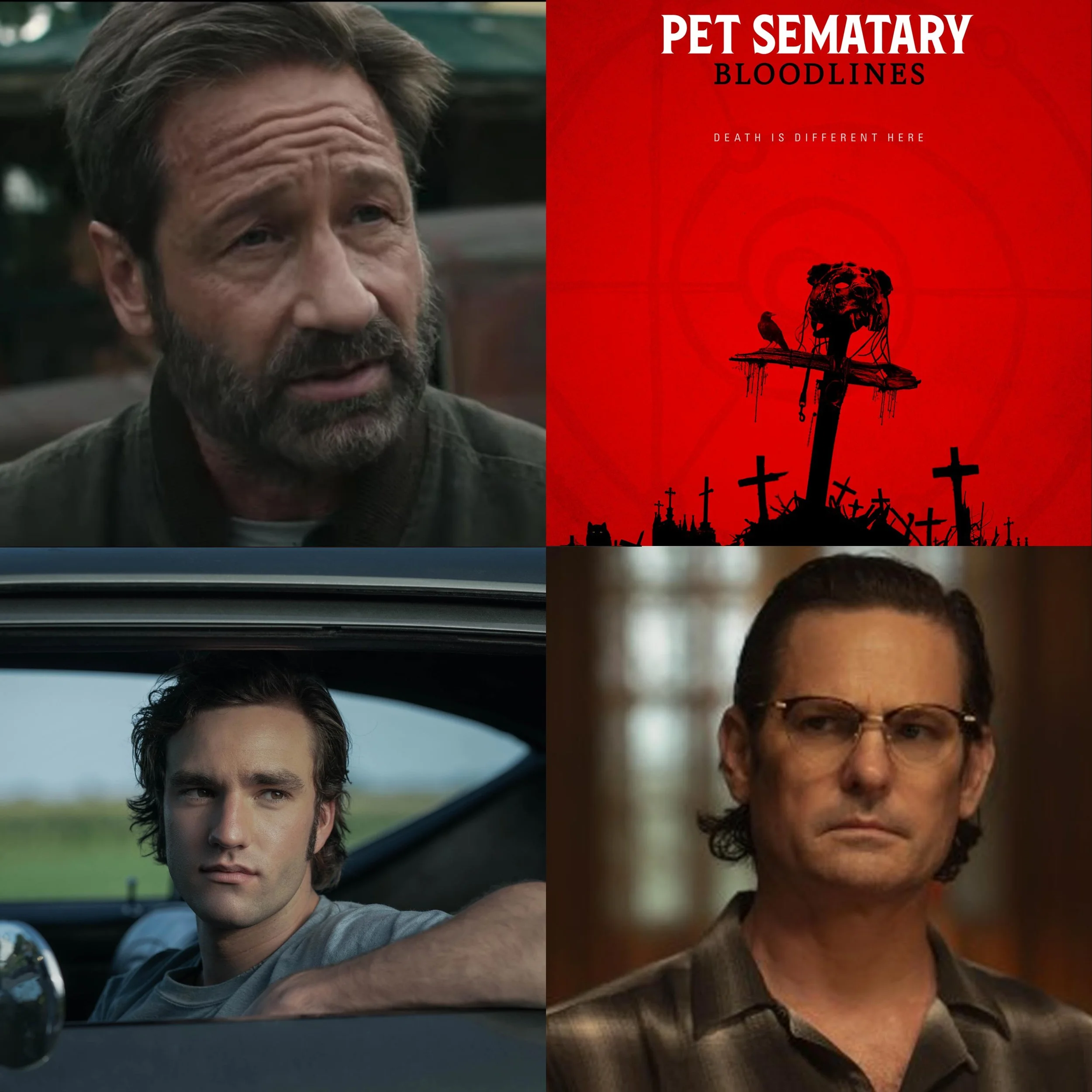 Highlights - LINDSEY ANDERSON BEER - Writer, Director - Pet Sematary: Bloodlines - Sleepy Hollow