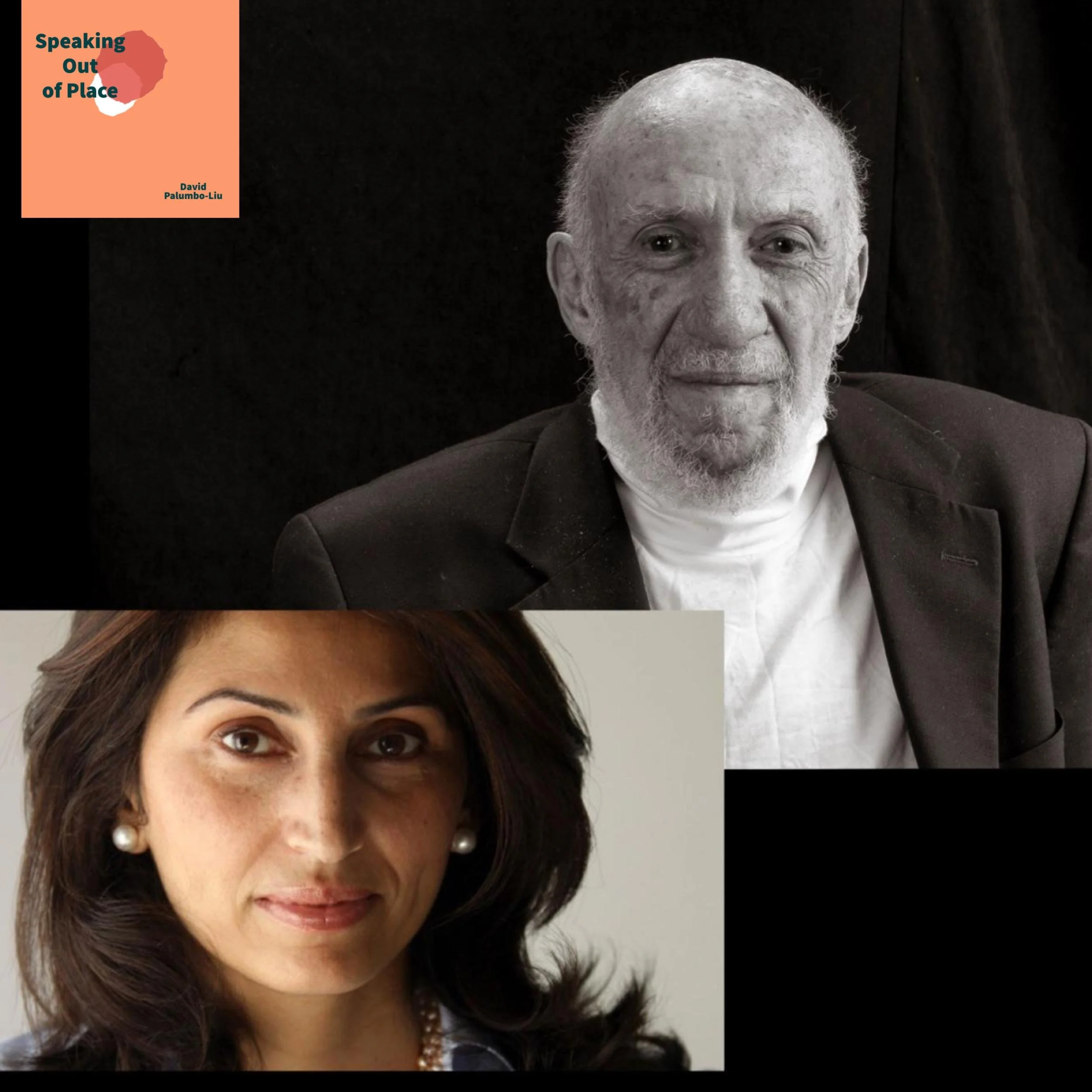 Speaking Out of Place: DIANA BUTTU, RICHARD FALK &amp; Voices of Solidarity with the Palestinian People