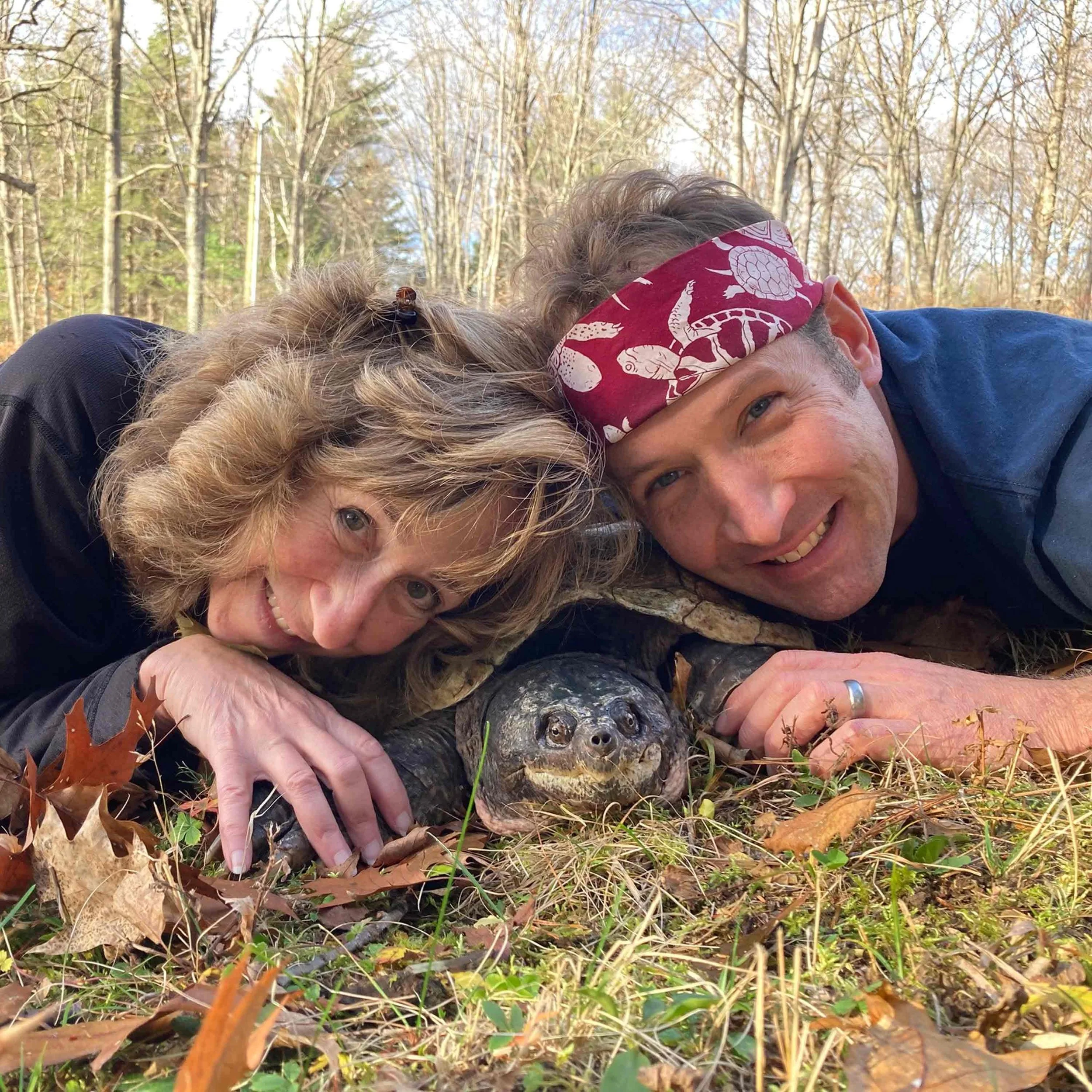 Of Time and Turtles - Author SY MONTGOMERY & Illustrator MATT PATTERSON