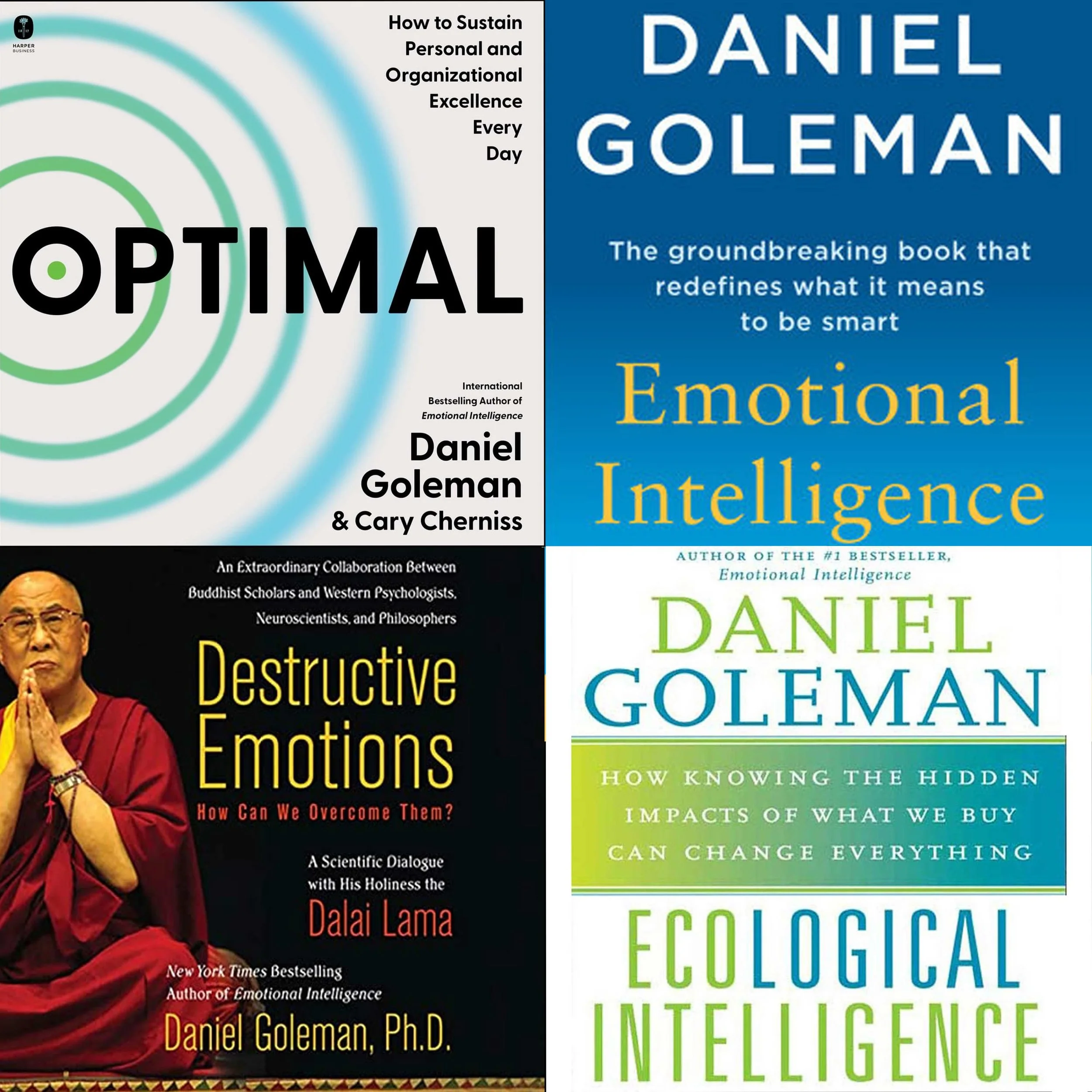 Emotional Intelligence in the Age of AI - Highlights - DANIEL GOLEMAN