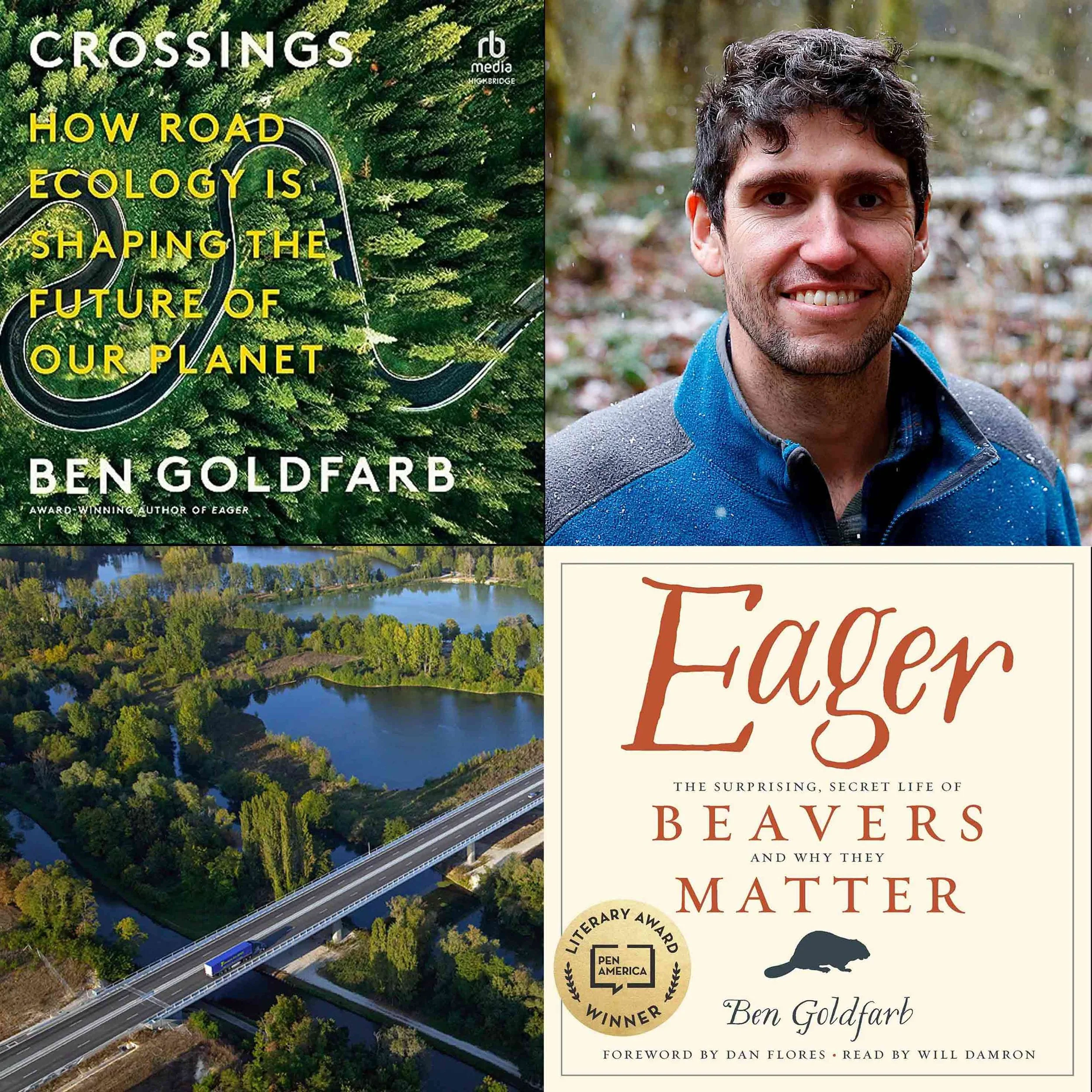 Humanity's Deadly Shadow: The Toll on Birds and Wildlife - BEN GOLDFARB