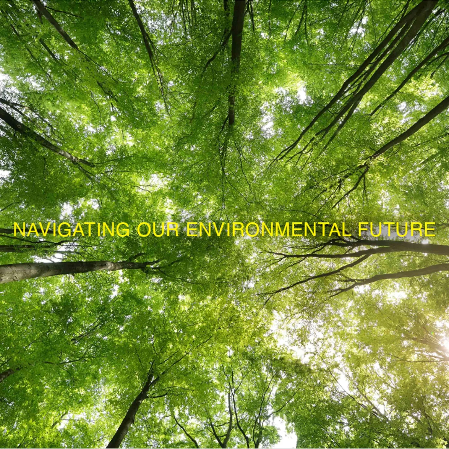 Social Justice & Activism - The Creative Process - Activists, Environmental, Indigenous Groups, Artists and Writers Talk Diversity, Equity and inclusion