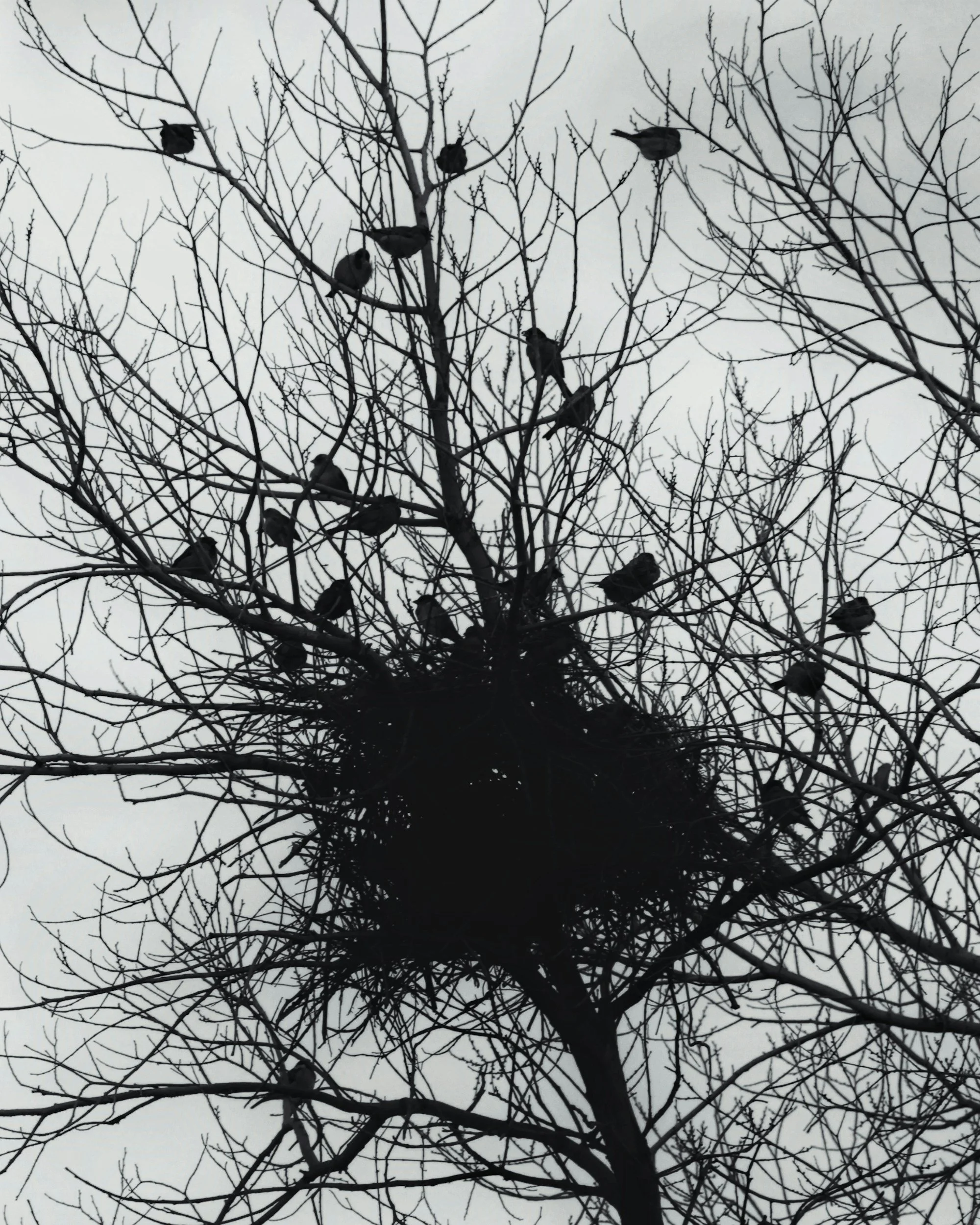 Death Metal