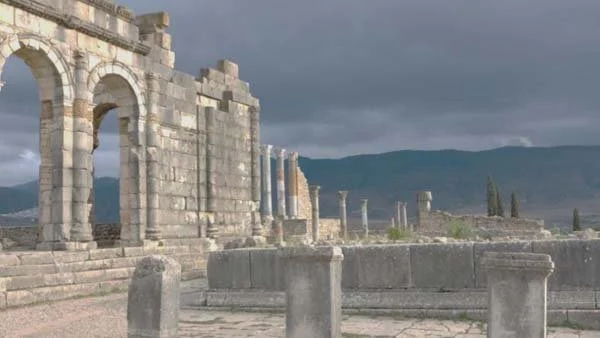 Wings: Gifts of Art, Life, and Travel in France