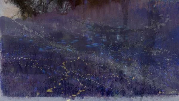 Dead Cornea: Lifeless Pupil