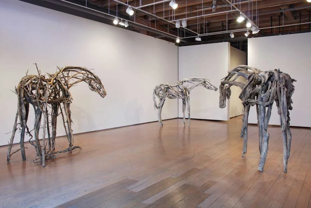 Curatorial Visions