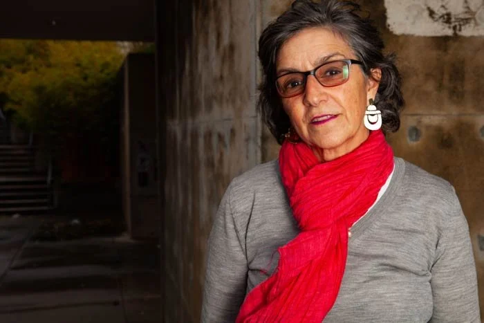 Shaping Iranian Diasporic Identities in Times of Crisis and Change