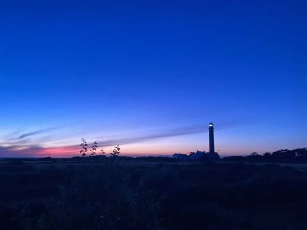 Nuit d'oiseau · Nightbird