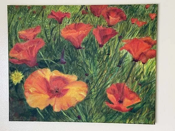 Field of poppies