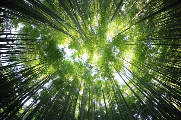 OUR PLANET · OUR FUTURE