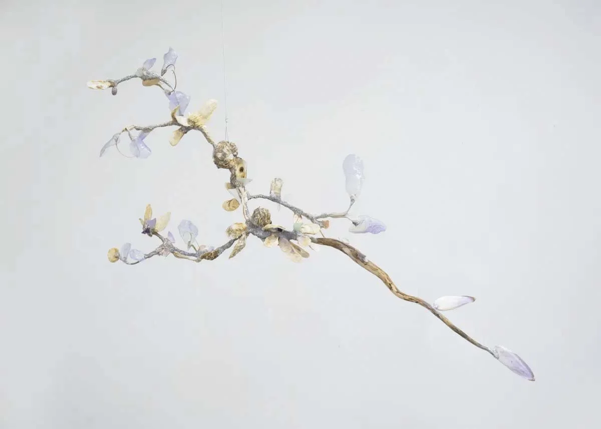  Shuyi Cao 