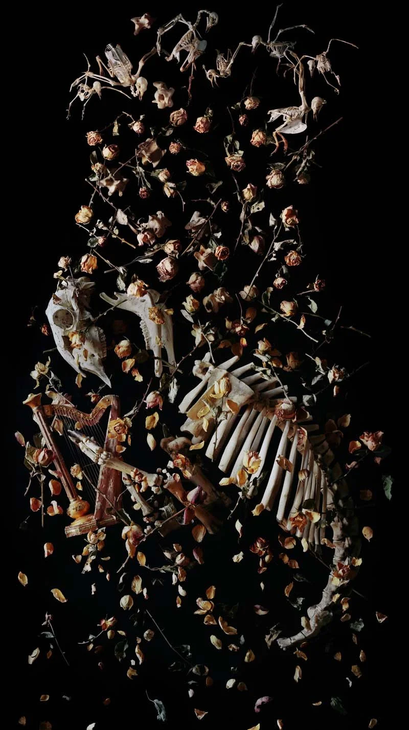   Ascendo (Ask Now the Beasts) , 2023 75 x 42 inches, inkjet print from 8x10 negative 