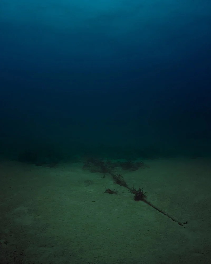   Bahamas Internet Cable System (BICS- 1), NSA/GCHQ-Tapped Undersea Cable, Atlantic Ocean , 2015, C-Print, 60 × 48 in. Courtesy of Pace Gallery. 