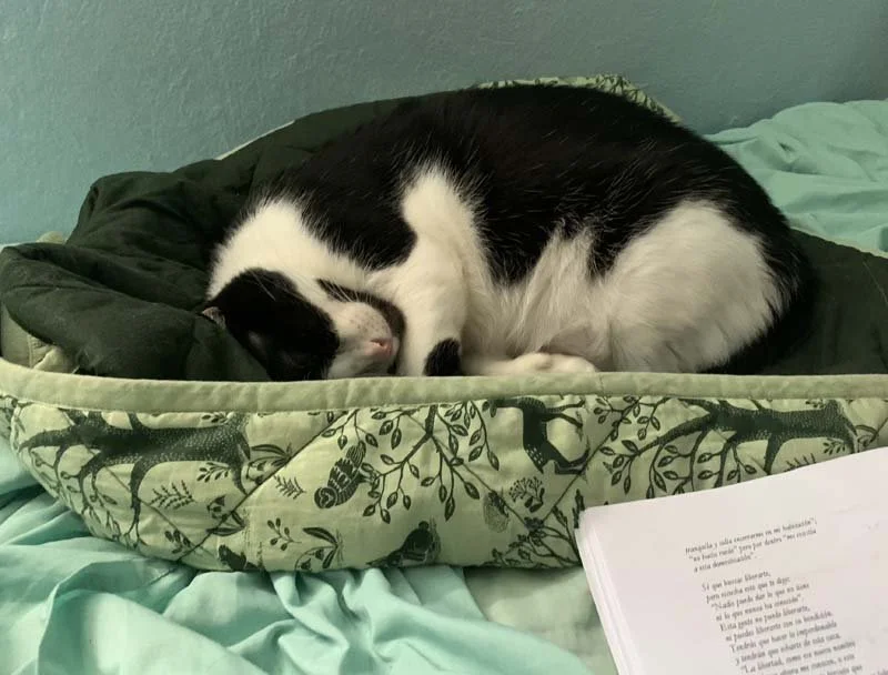 IMG_0654creative-process-podcast.jpg