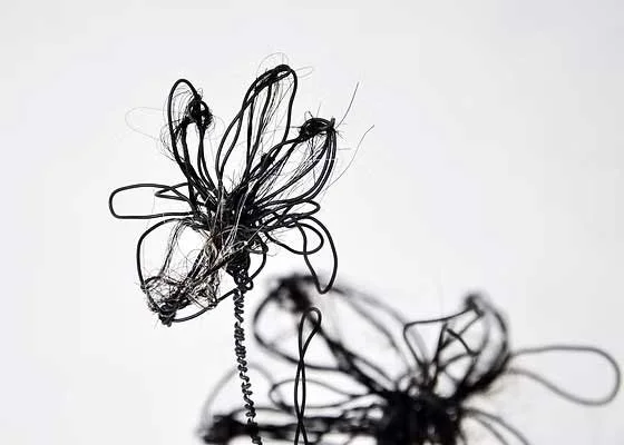 Untitled-5.jpg