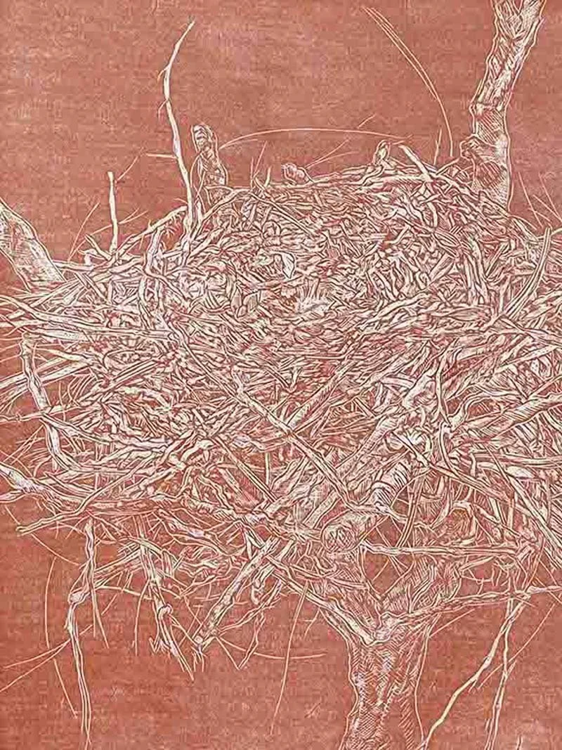  The Rook’s Nest, 2025 