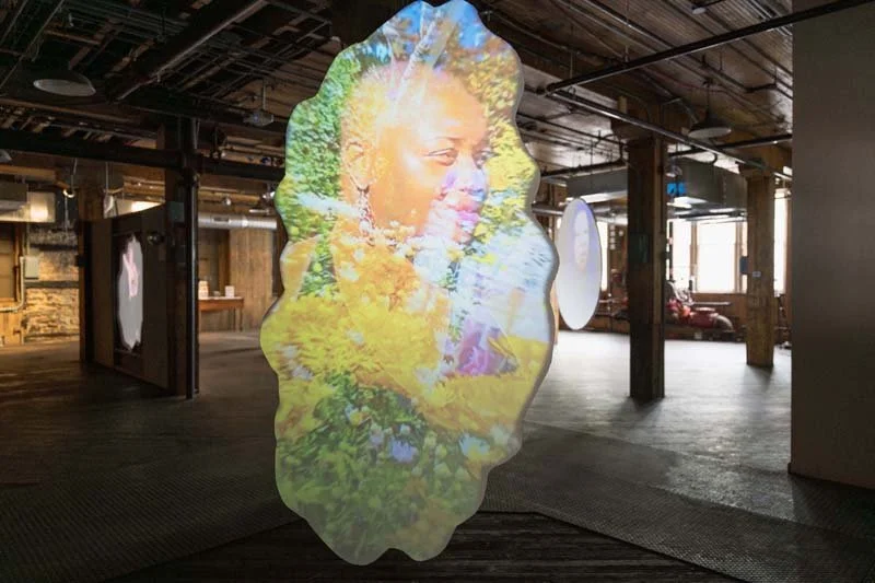  Paradise Portals Area 405,2025, image by Lena McBean 