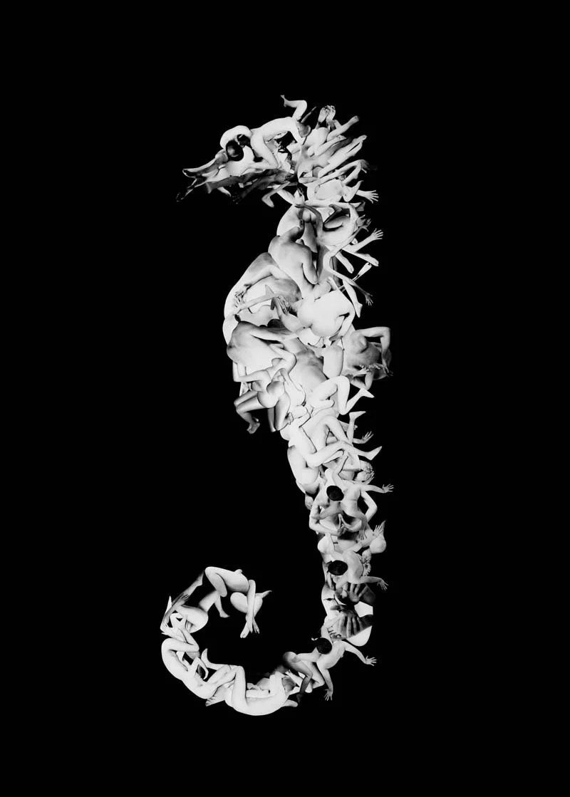 The Body as Blueprint