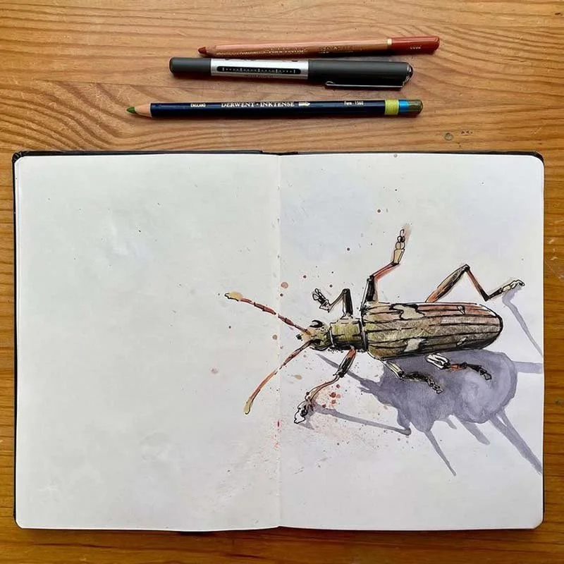  Courtesy of the artist. 