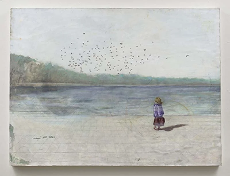  Birds over Beekman 