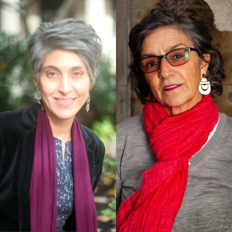 Bombs Will Never Liberate Iran: PERSIS KARIM &amp; MANIJEH MORADIAN in Conversation