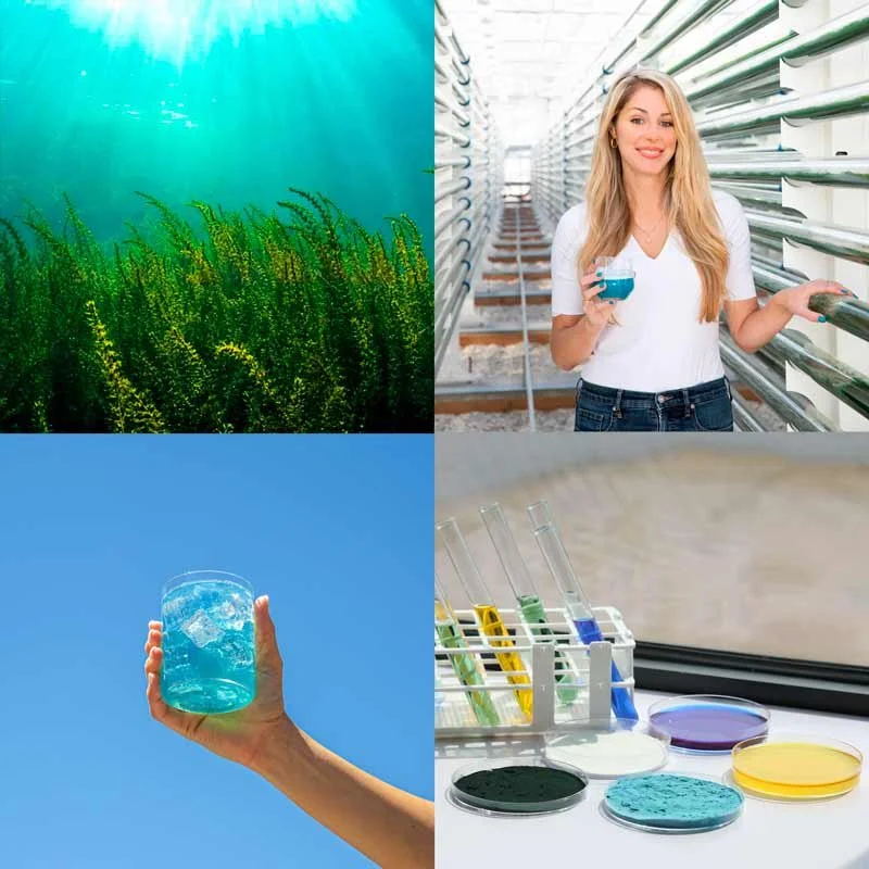 The Spirulina Revolution