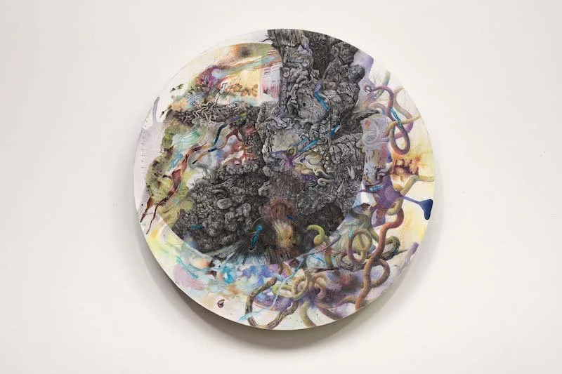   Rottura: Guaro Sentinel , 2025, Photo: Courtesy of Paul Litherland. 