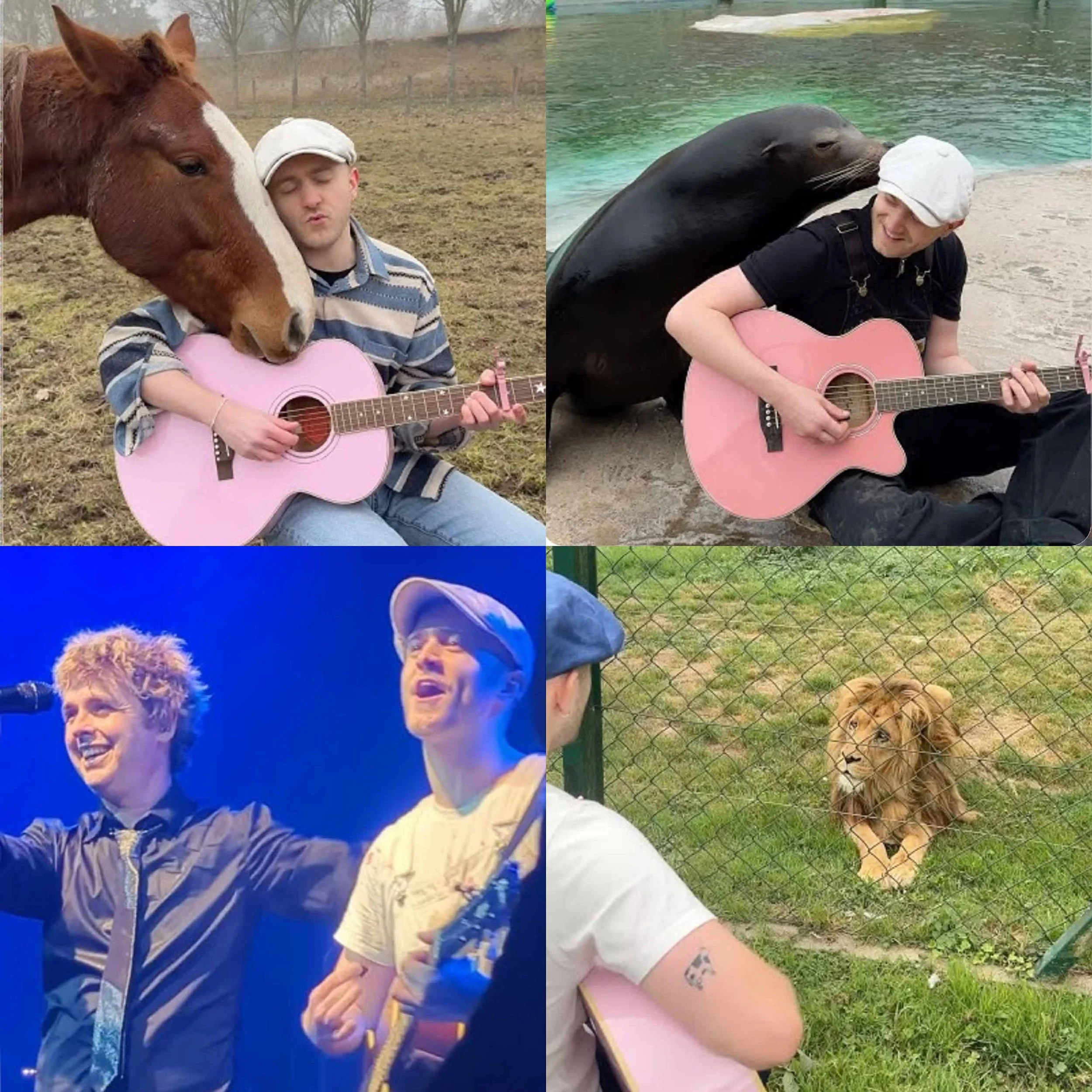 The Musician Who Sings to Animals - PLUMES on Trust &amp; Cross-Species Communication - Highlights