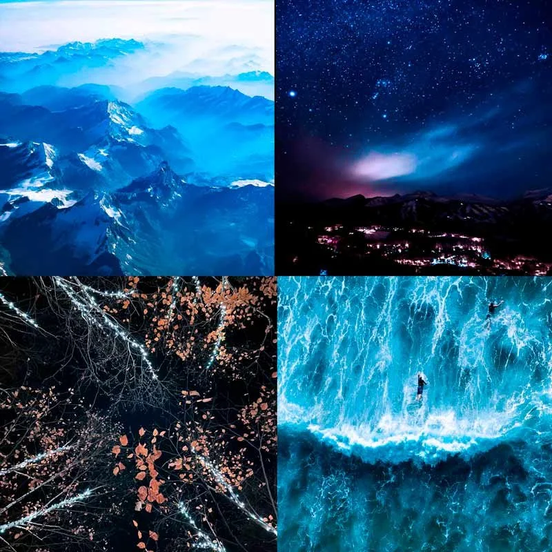 The Wisdom of Nature