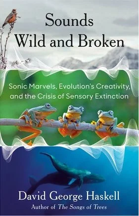 sounds wild and broken the creative process podcast ST.jpg