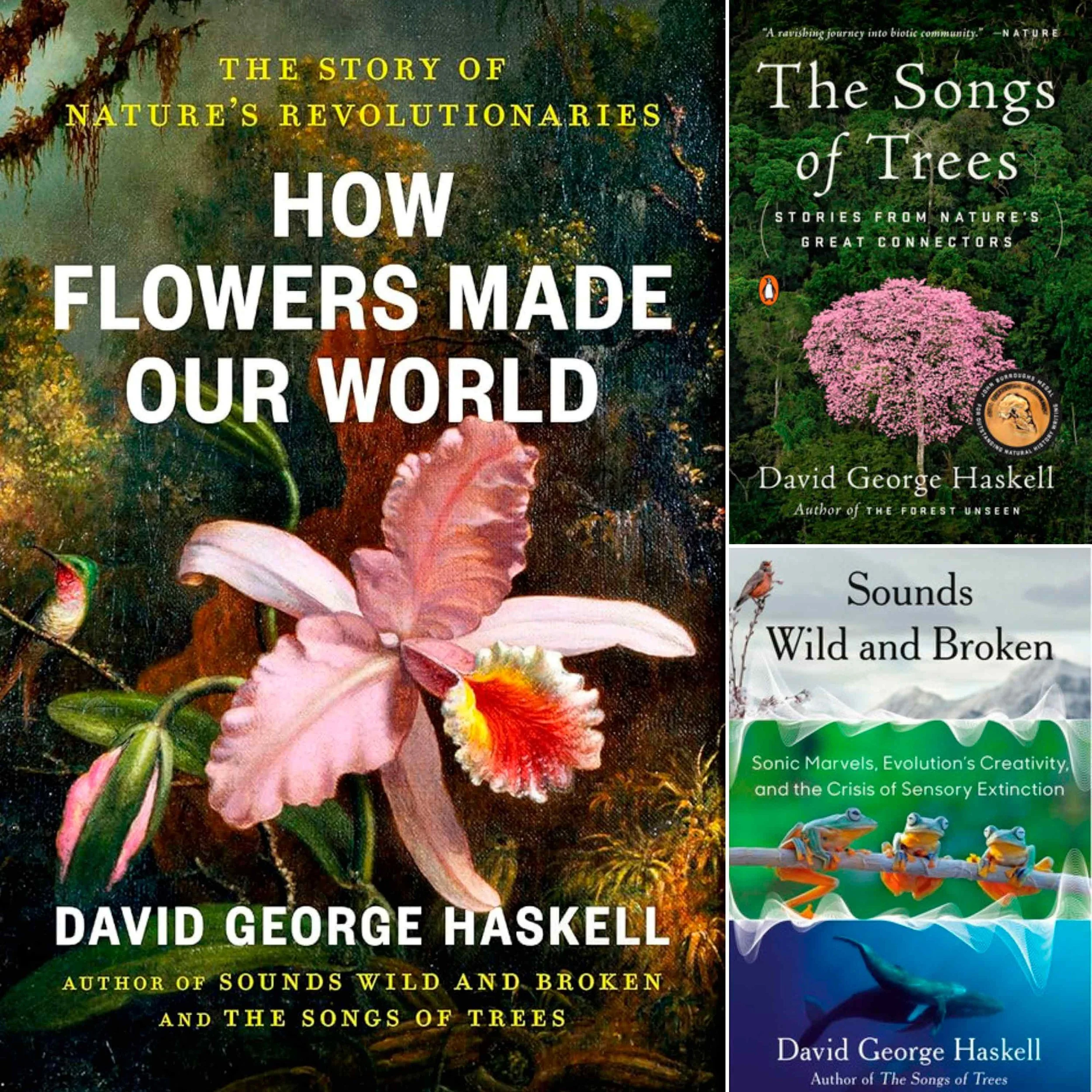 Listening to the Living World: Biologist DAVID GEORGE HASKELL on Flowers, Forests &amp; Songs of Nature - Highlights