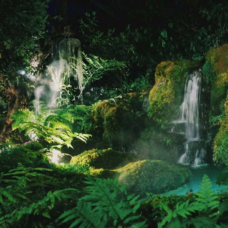 We Are Becoming Earth: Scientists, Writers, Musicians, Environmentalists &amp; Indigenous Voices