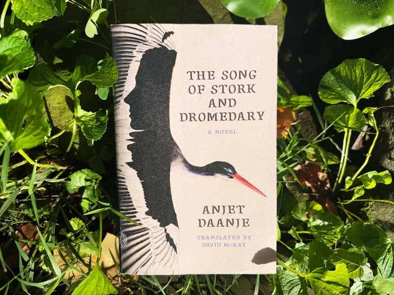 The Song of Stork and Dromedary