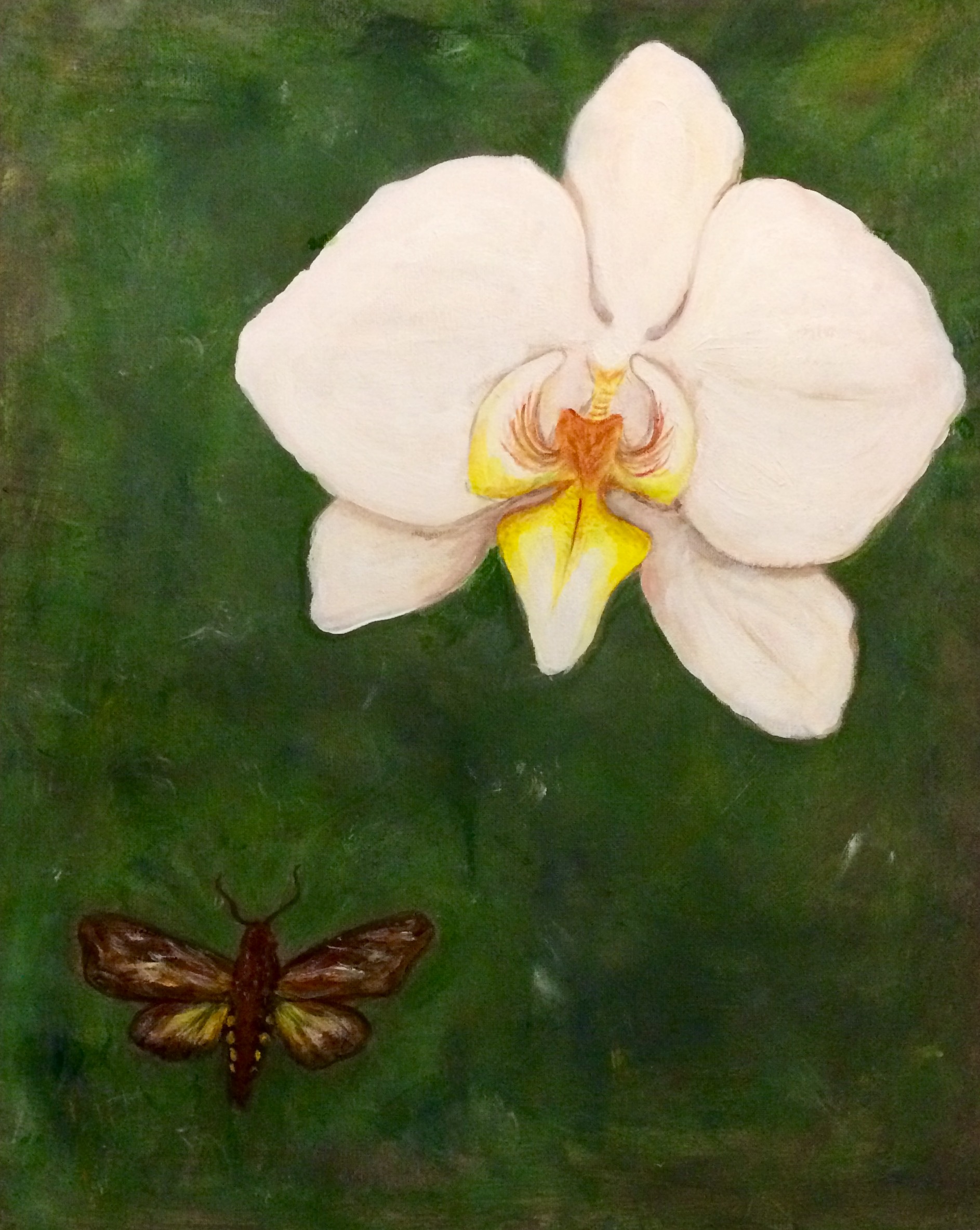 "Like a Moth to a Flame", 16” x20” Acrylic on canvas $200