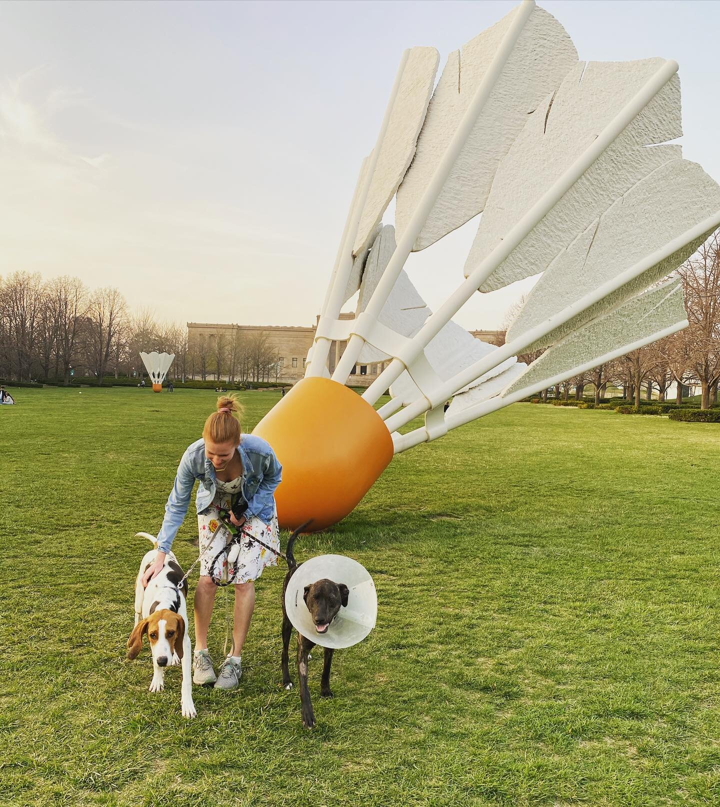 Cone head and Humphrey had a rough week, but at least they live in a great town with some great art. Photocred: @mcmedles
.
@nelsonatkins
#kansascitydogs #sunsetwalks #artsydogs #dogsofinsta