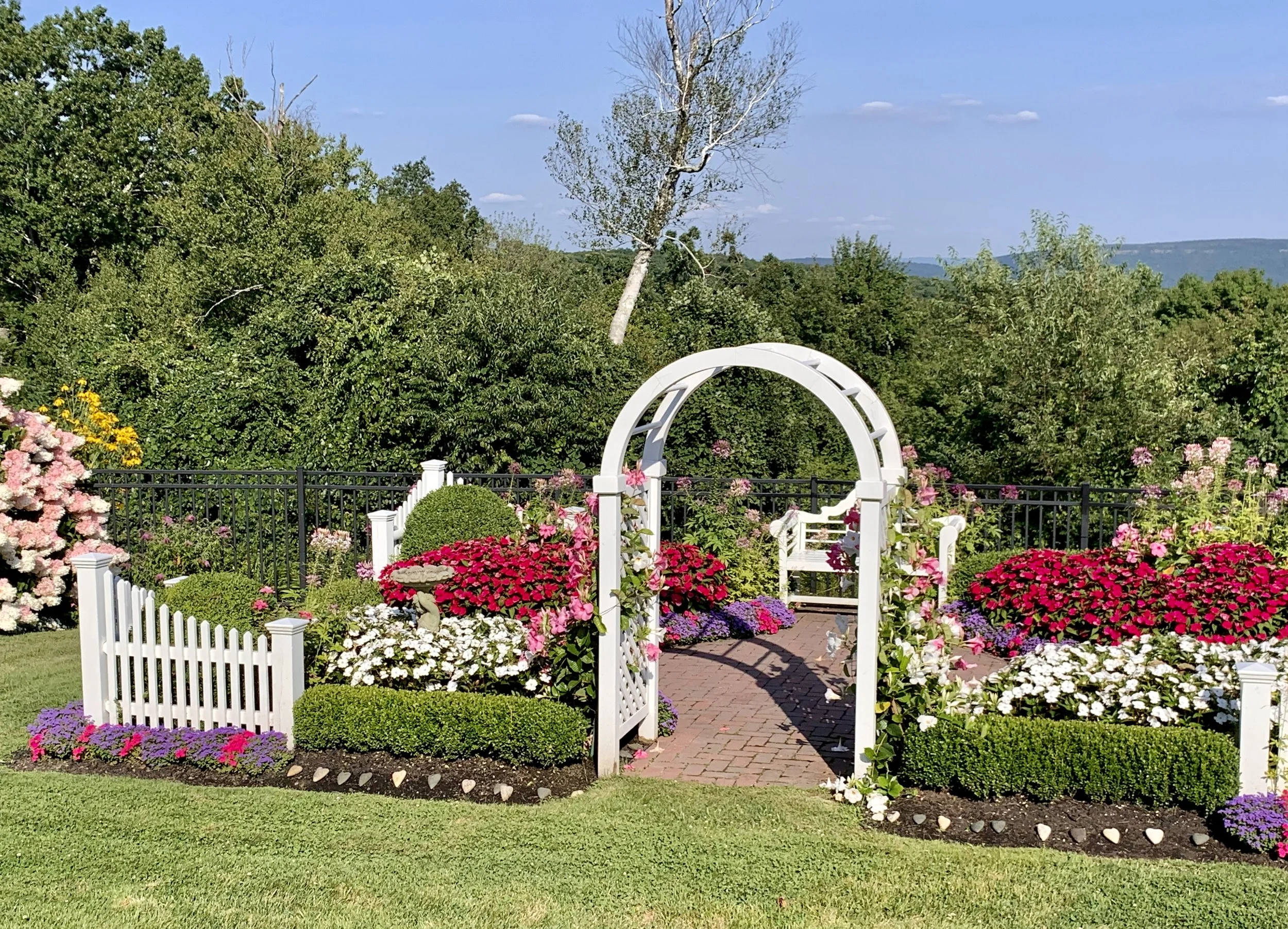 The Chocolate Goddess