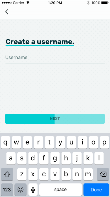 Onboarding - SignUp Username.png