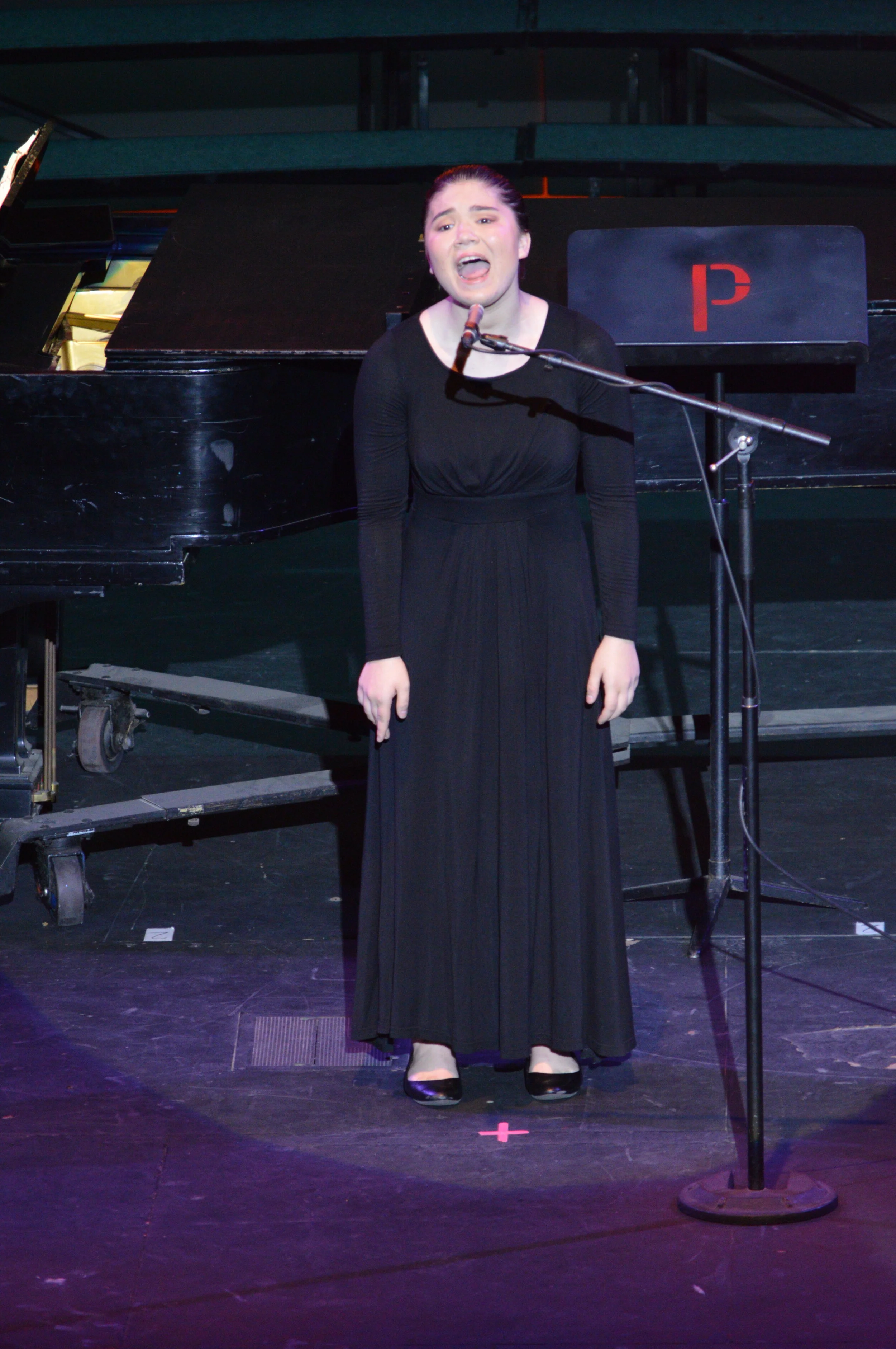 DSC_0081.JPG