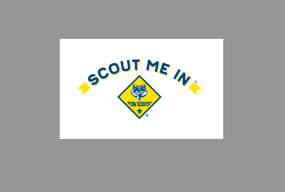 BSA Logo Size.png