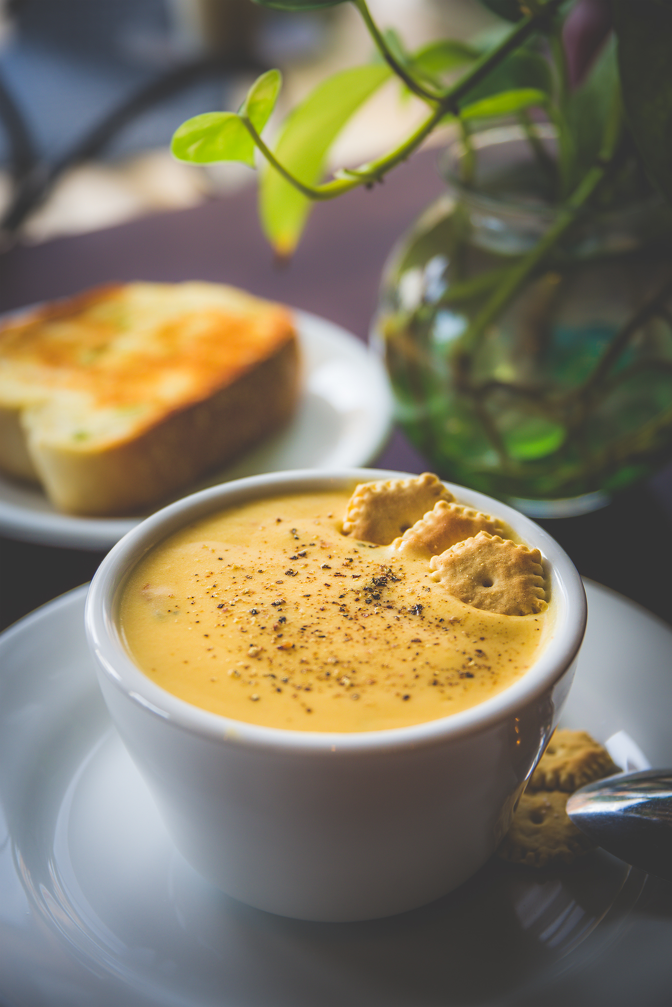 Wisconsin cheddar soup.jpg