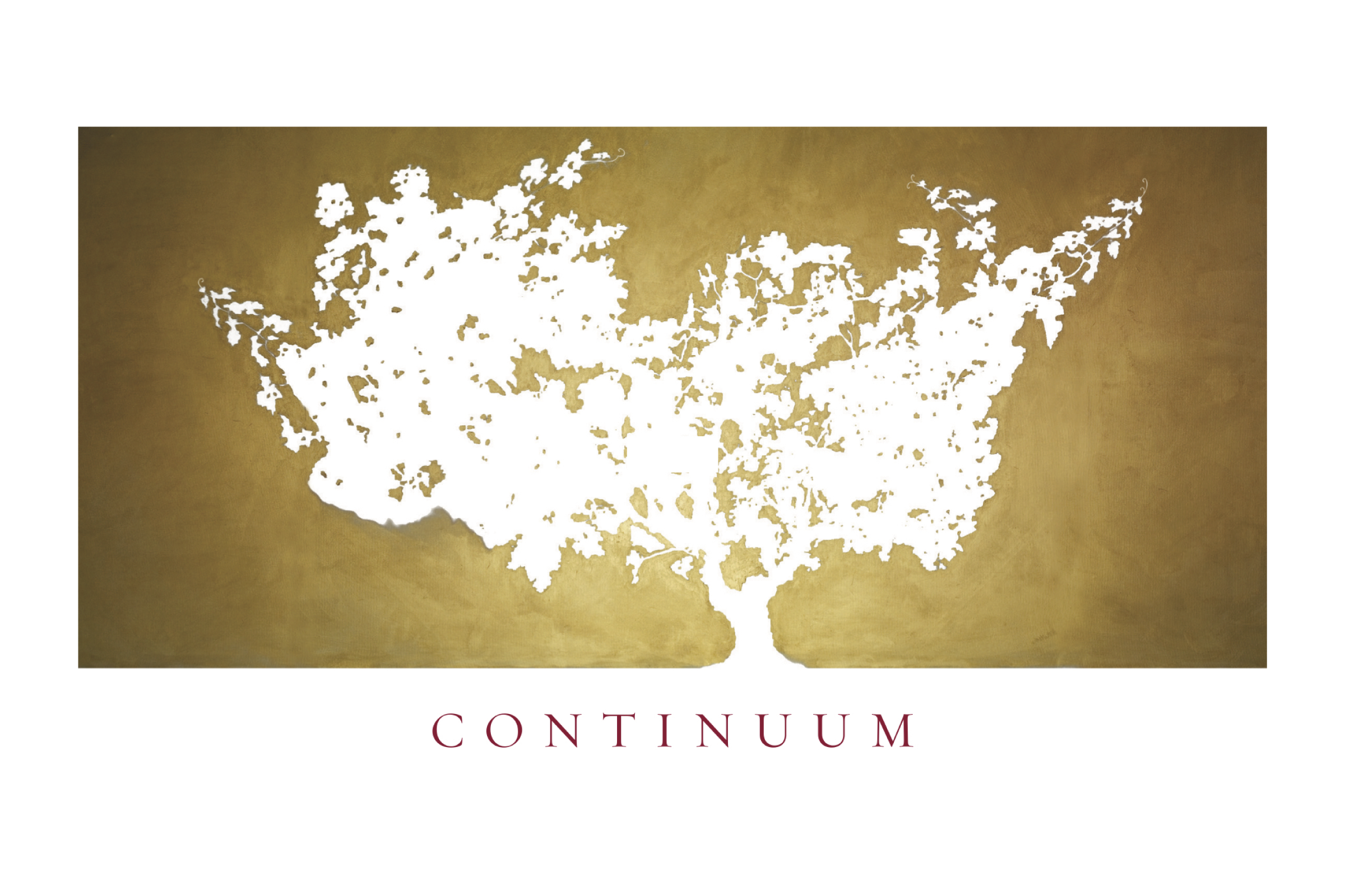 continuum