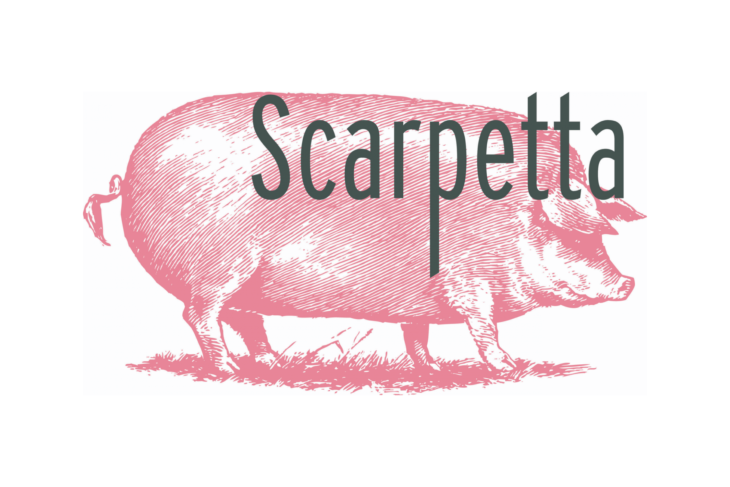 scarpetta-01.png