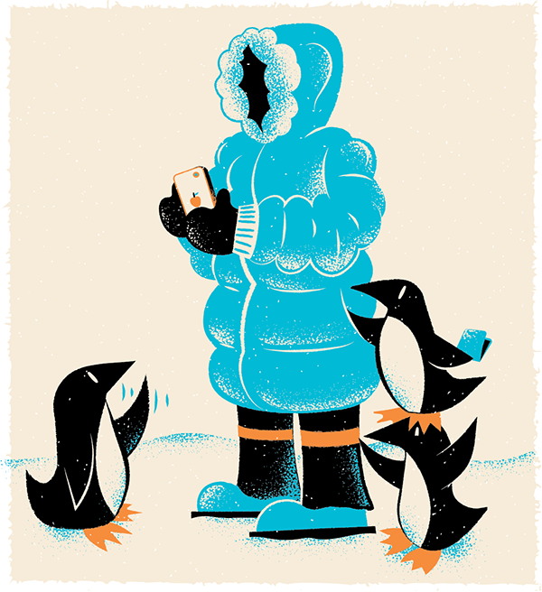AIRMAIL_penguins_JAMES-OLSTEIN-01.png